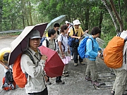 Thumbnail of pic_CC_Li_013.JPG