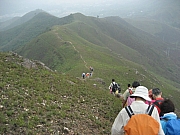 Thumbnail of pic_CC_Li_062.JPG
