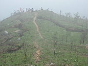 Thumbnail of pic_CC_Li_104.JPG