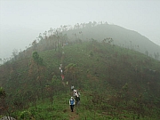 Thumbnail of pic_KT_Lui_064.JPG