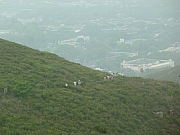 Thumbnail of pic_Wai_032.JPG