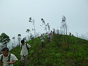 Thumbnail of pic_Wai_084.JPG