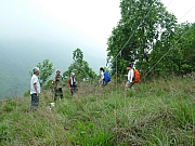Thumbnail of pic_Wai_109.JPG