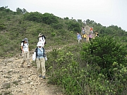 Thumbnail of pic_CC_Li_103.JPG