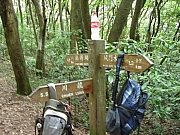 Thumbnail of pic_PK_Liang_34.JPG