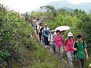 Thumbnail of P6260109.JPG