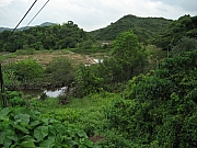 Thumbnail of pic_CC_Li_167.JPG