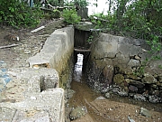 Thumbnail of pic_CC_Li_177.JPG