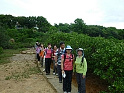 Thumbnail of pic_Wai_097.JPG