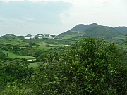 Thumbnail of pic_Wai_134.JPG