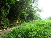 Thumbnail of pic_Wai_156.JPG