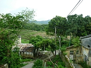 Thumbnail of pic_Wai_176.JPG