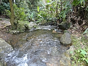 Thumbnail of DSC03120.JPG