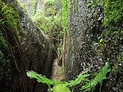 Thumbnail of IMG_0488.JPG