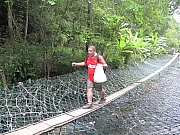 Thumbnail of IMG_8665.JPG