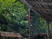Thumbnail of P1030577.JPG
