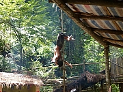 Thumbnail of P1030579.JPG