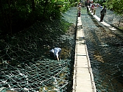 Thumbnail of P1310043.JPG