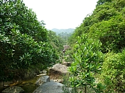 Thumbnail of pic_Wai_045.JPG