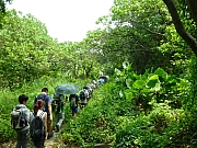 Thumbnail of pic_Wai_079.JPG