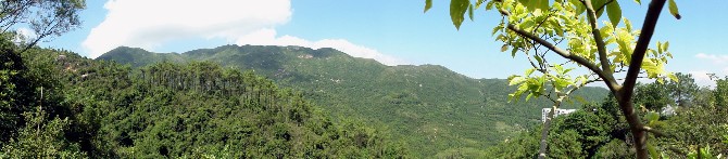 P7240015-1.JPG (731080 bytes)