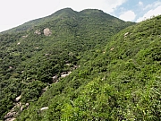 Thumbnail of P7240022.JPG