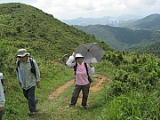 Thumbnail of pic_CC_Li_077.JPG