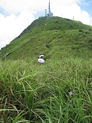 Thumbnail of pic_CC_Li_159.JPG