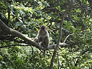 Thumbnail of pic_KT_Lui_66.JPG