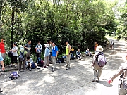 Thumbnail of P8210040.JPG