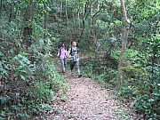 Thumbnail of pic_CC_Li_61.JPG