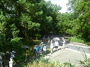 Thumbnail of pic_Wai_17.JPG