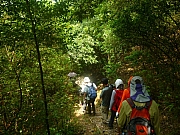 Thumbnail of pic_Wai_75.JPG