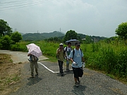Thumbnail of pic_Wai_89.JPG