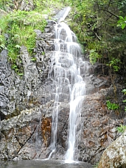 Thumbnail of pic_FW_Li_41.JPG