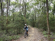 Thumbnail of pic_KT_Lui_031.JPG
