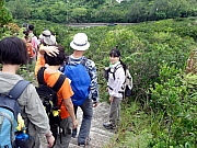 Thumbnail of P9180086.JPG