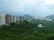 Thumbnail of pic_Wai_14.JPG