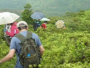 Thumbnail of pic_FW_Li_65.JPG