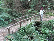 Thumbnail of pic_CC_Li_047.JPG