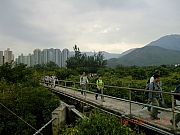 Thumbnail of PIC_Wai_026.JPG