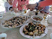 Thumbnail of PA230005.JPG
