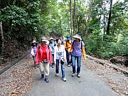 Thumbnail of PA230098.JPG