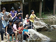Thumbnail of pic_FW_Li_229.JPG