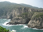 Thumbnail of pic_CC_Li_098.JPG