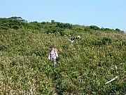 Thumbnail of pic_FW_Li_095.JPG