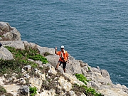 Thumbnail of pic_TK_Yuen_31.jpg