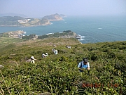 Thumbnail of pic_Wai_143.JPG