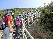Thumbnail of pic_Wai_231.JPG