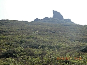 Thumbnail of pic_Wai_289.JPG